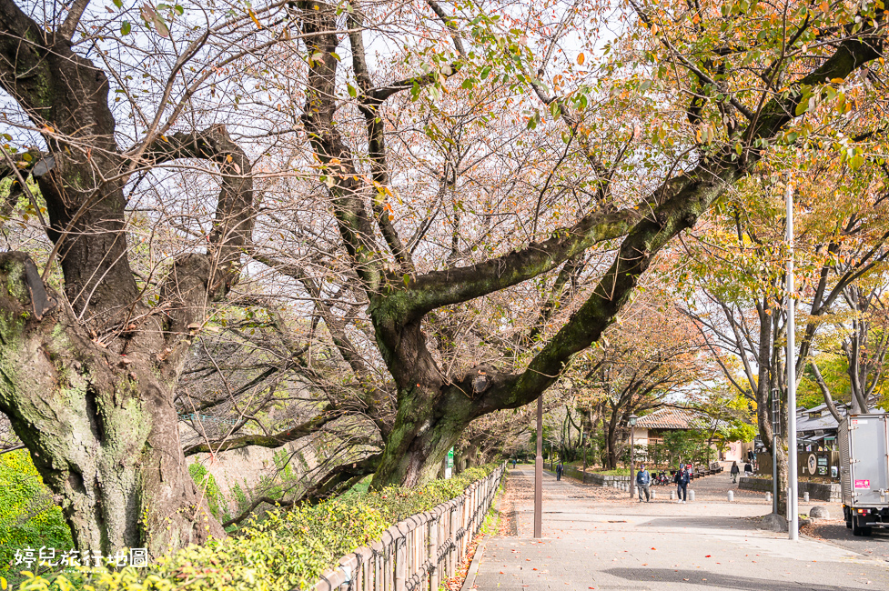 ｜中部．愛知景點｜名古屋城，2025年開放時間／門票／交通資訊分享