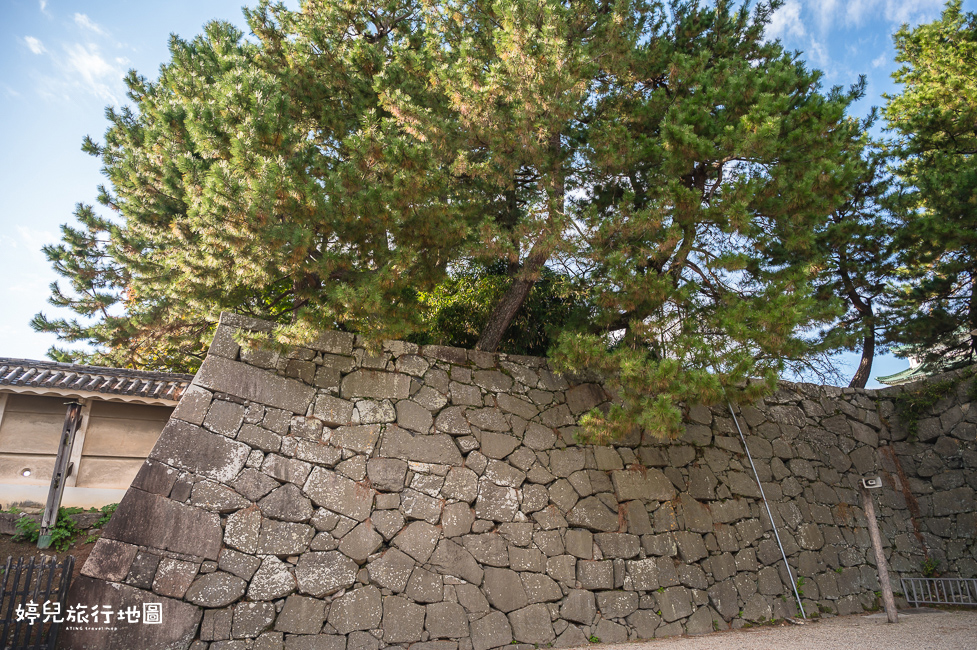 ｜中部．愛知景點｜名古屋城，2025年開放時間／門票／交通資訊分享