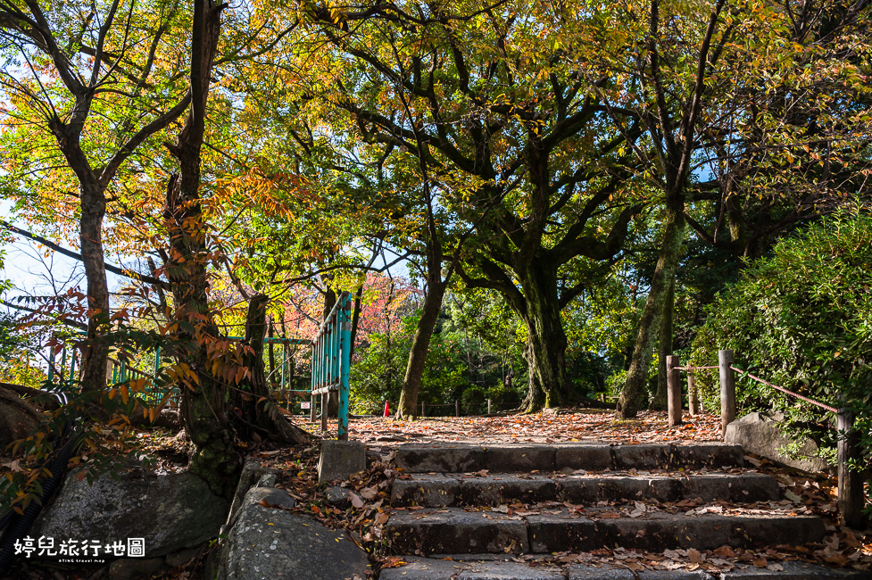 ｜中部．愛知景點｜名古屋城，2025年開放時間／門票／交通資訊