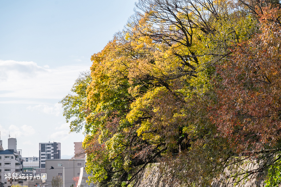 ｜中部．愛知景點｜名古屋城，2025年開放時間／門票／交通資訊