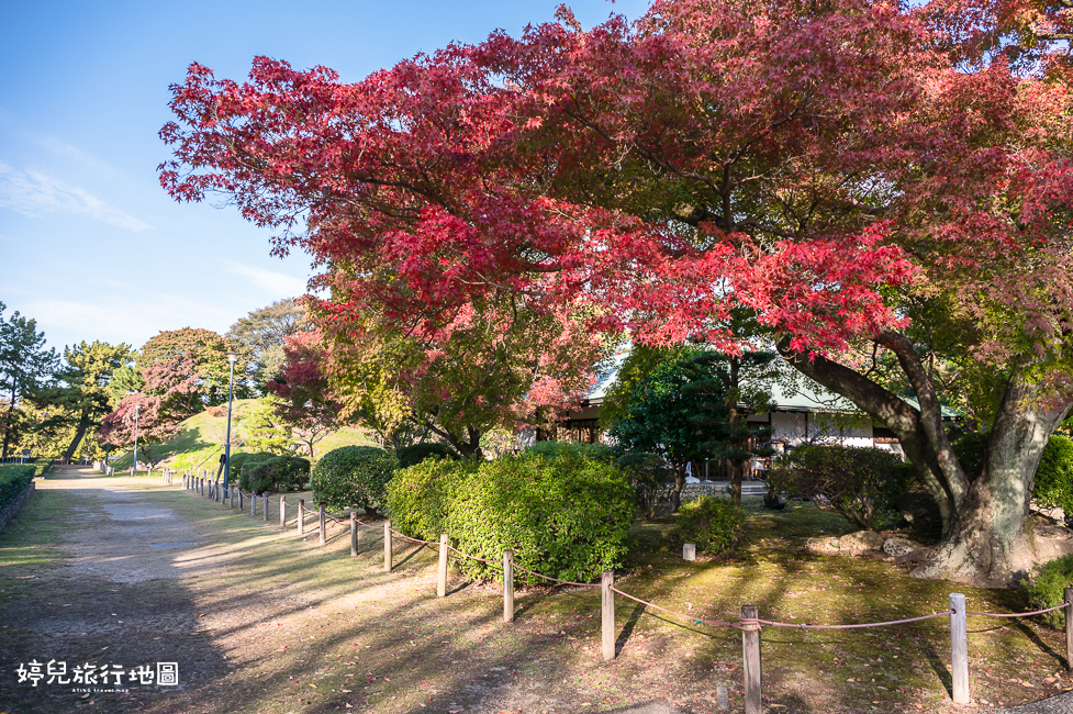 ｜中部．愛知景點｜名古屋城，2025年開放時間／門票／交通資訊