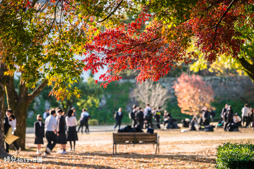 ｜中部．愛知景點｜名古屋城，2025年開放時間／門票／交通資訊
