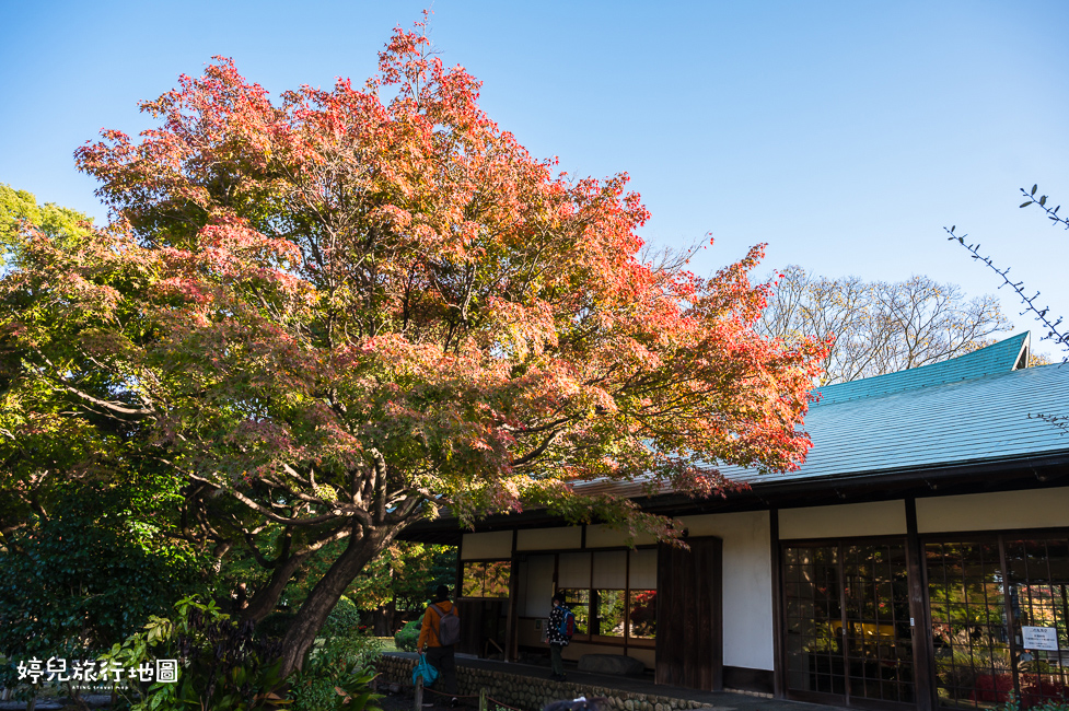 ｜中部．愛知景點｜名古屋城，2025年開放時間／門票／交通資訊