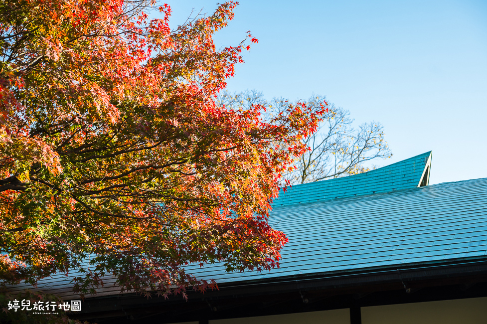 ｜中部．愛知景點｜名古屋城，2025年開放時間／門票／交通資訊