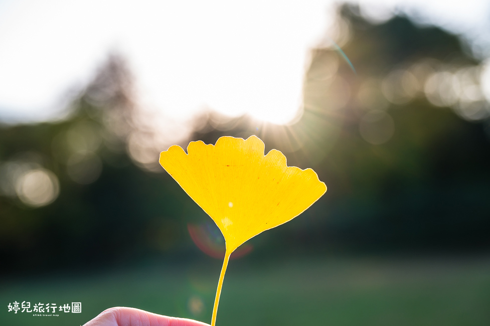 ｜中部．愛知景點｜名古屋城，2025年開放時間／門票／交通資訊