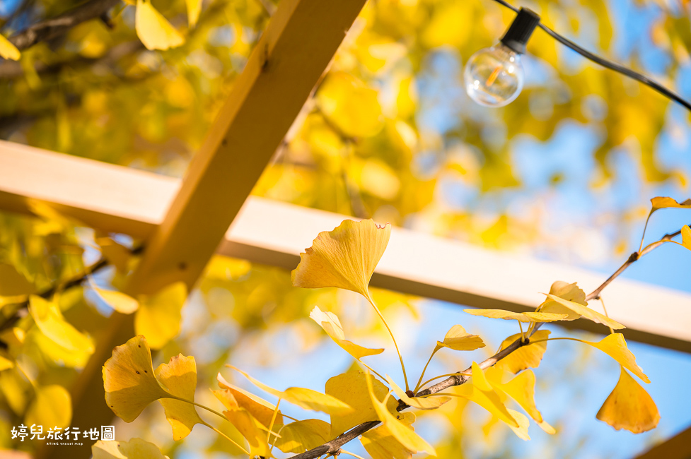 ｜中部．愛知景點｜名古屋城，2025年開放時間／門票／交通資訊