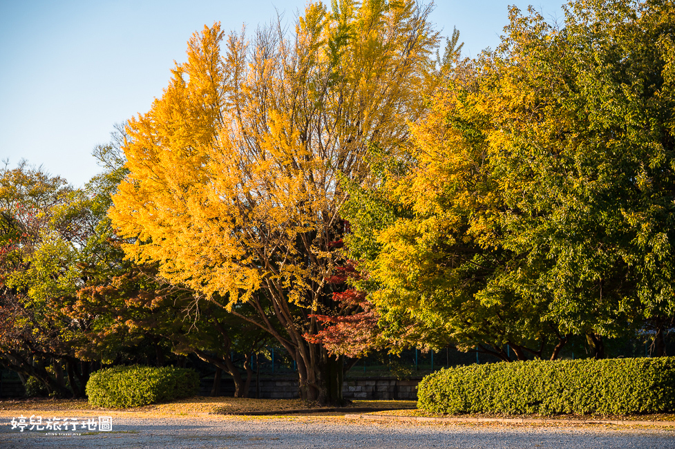 ｜中部．愛知景點｜名古屋城，2025年開放時間／門票／交通資訊