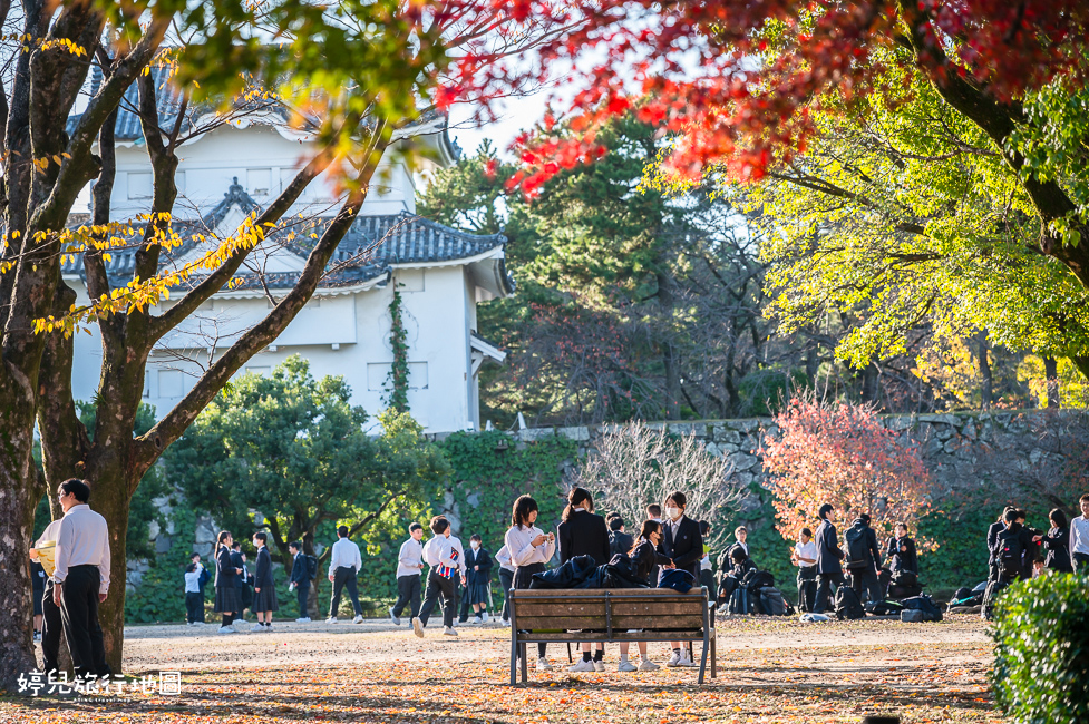 ｜中部．愛知景點｜名古屋城，2025年開放時間／門票／交通資訊