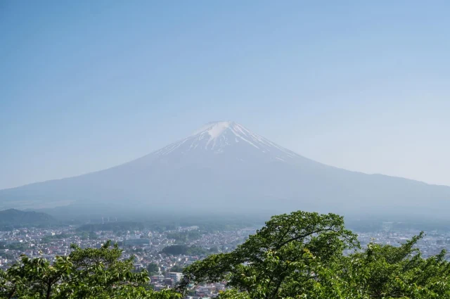 最近被大家的楓葉、銀杏照片燒到體無完膚啊！