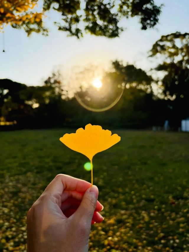 願大家都平安健康❤️