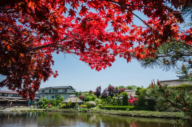 忍野八海也是一個看富士山的地方
可以來這邊品嚐特色小吃
欣賞清澈見底的池子

#富士山 #忍野 #日本 #japan #japantrip