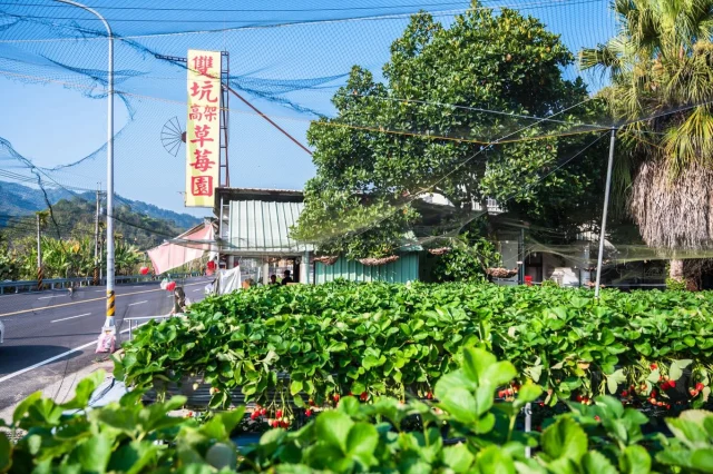 我們最常去的就是這間草莓園！！
就在鯉魚潭水庫不遠的地方
離我們算是比較近的草莓園～