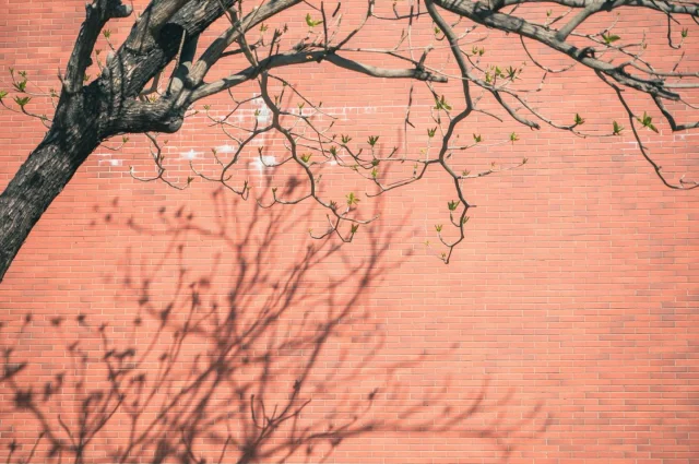 中山大學的紅色元素